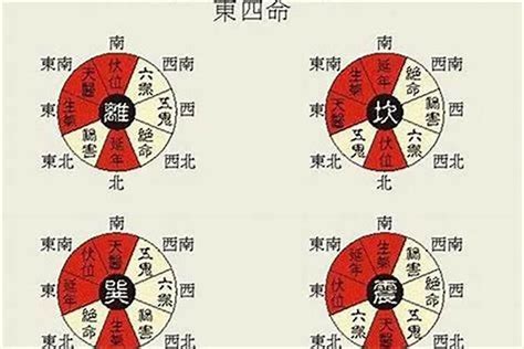 东四命离命人|东四命之人究竟有着怎样的命运走向